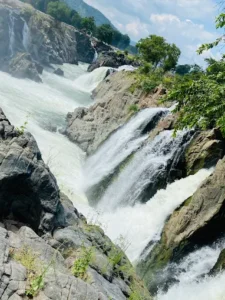 unnamed - 2025-09-23T115811.650